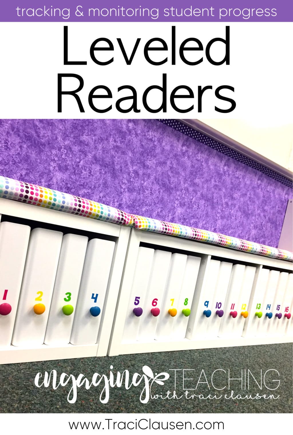 Leveled Reader Book Boxes