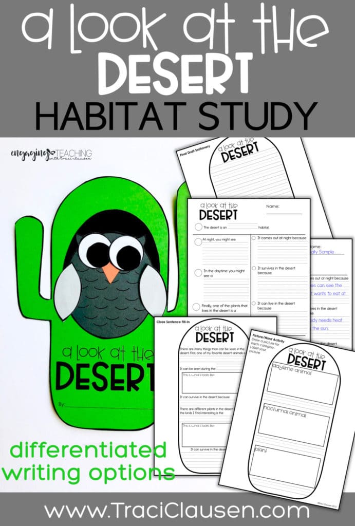 Writing choices for desert and owl craft