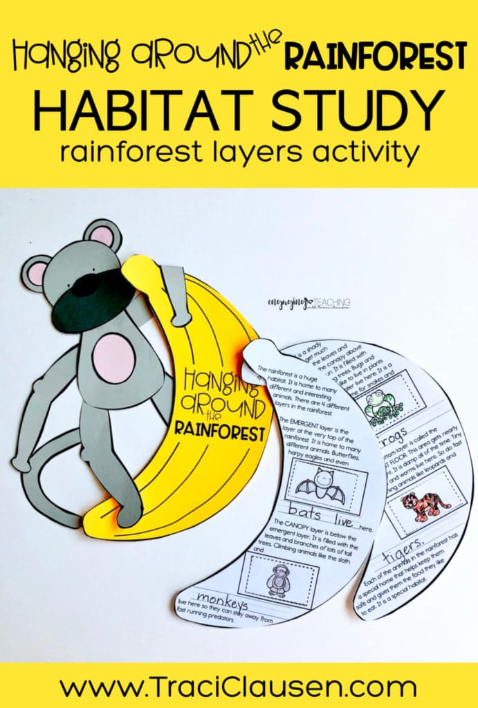 Monkey and Banana rainforest layers activity