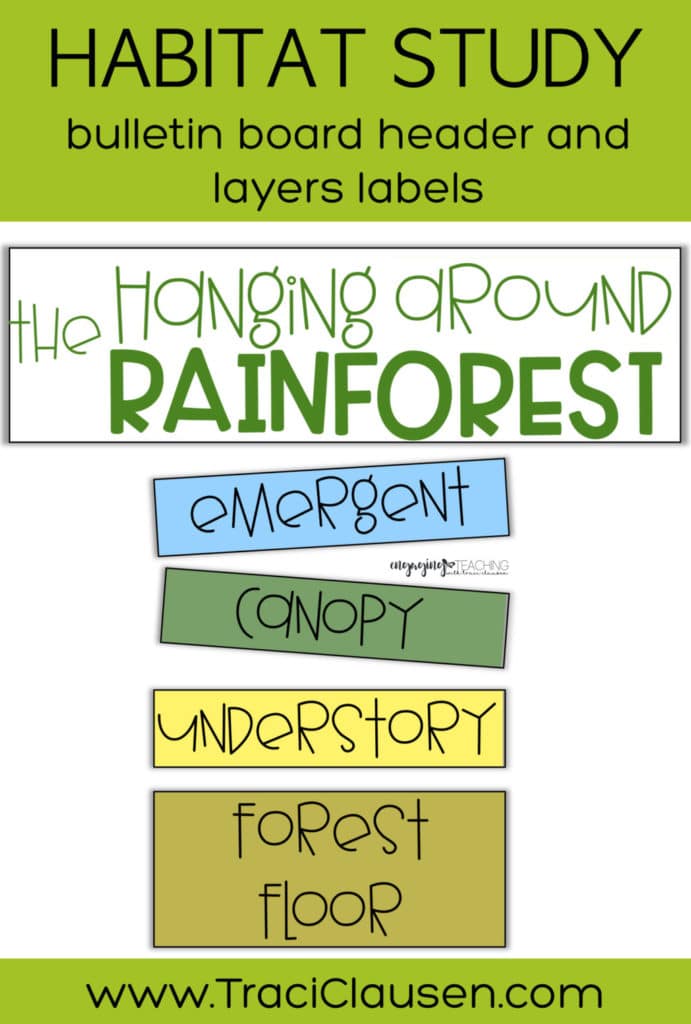 Bulletin board header and labels for rainforest