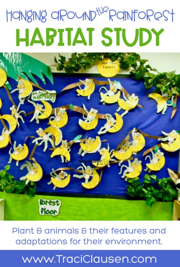 Rainforest Bulletin Board