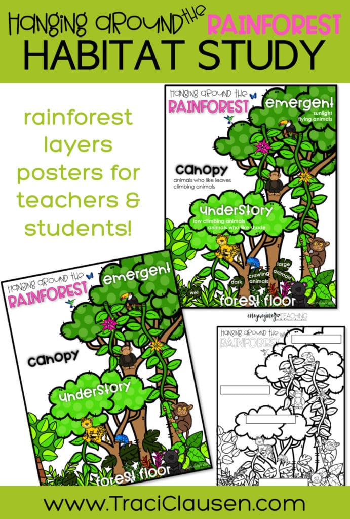 Rainforest Posters