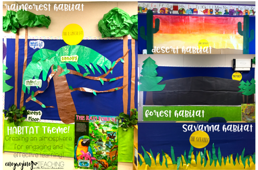 Animal and plant habitats. Engaging bulletin boards for thematic learning. TraciClausen.com