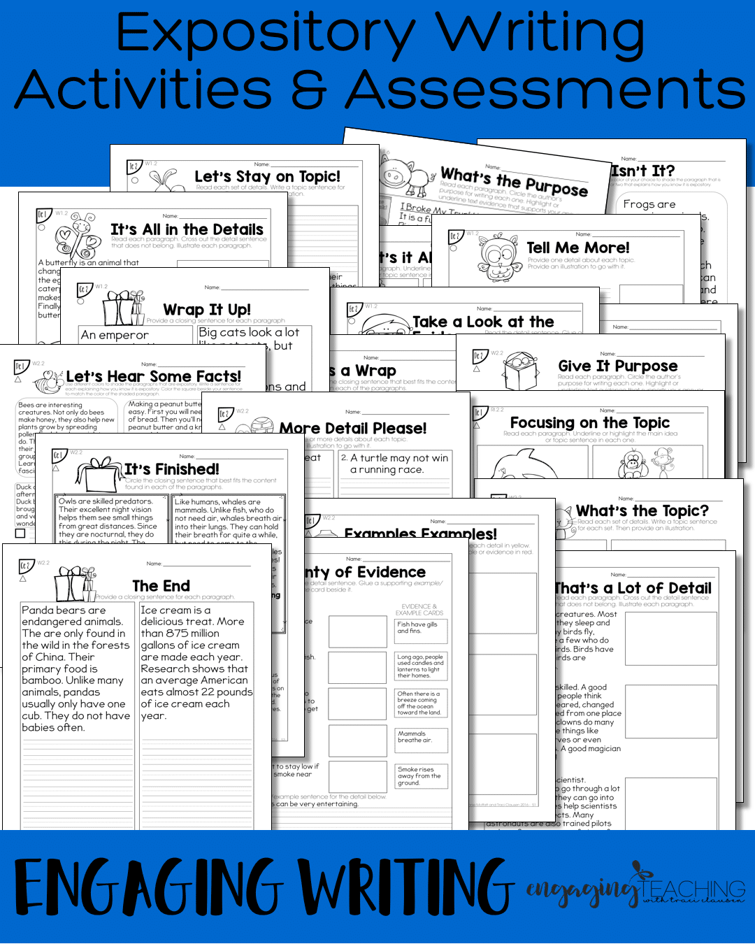 Expository Activities & Assessments