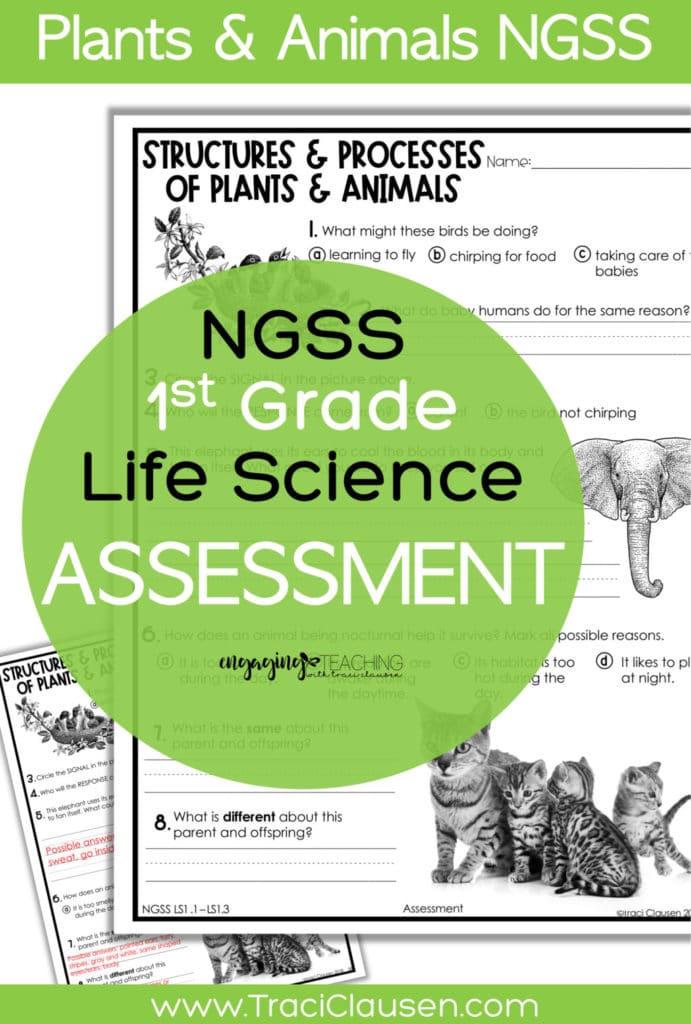 1st Grade Life Science NGSS Assessment