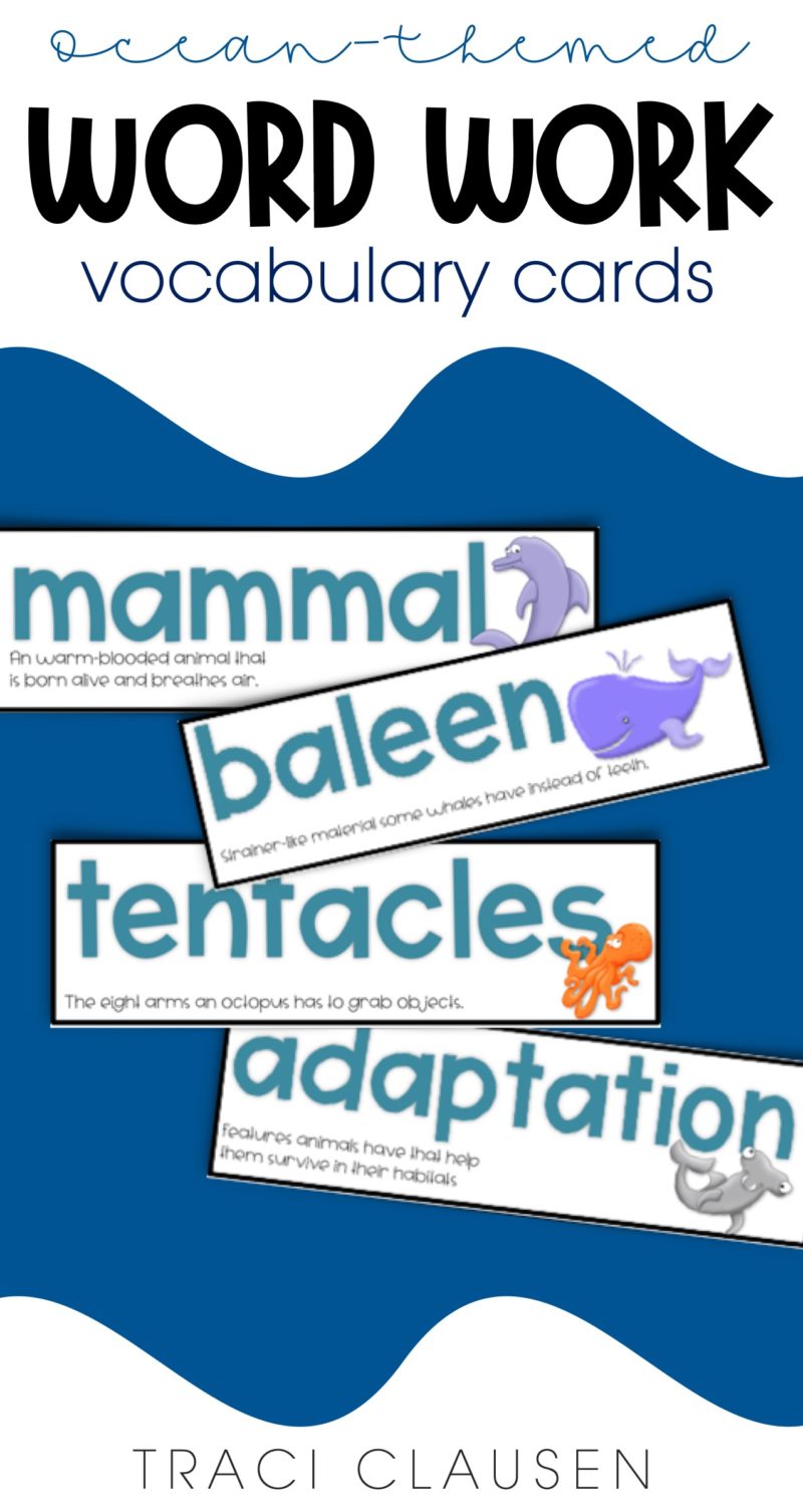 ocean vocabulary cards